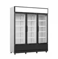 Réfrigérateur professionnel 3 portes vitrées positif 1600 mm - 7455.2110 - combisteel - Combisteel - 7455.2110 Réfrigérateur professionnel 3 portes vitrées positif 1600 mm - 7455.2110 - combisteel - Combisteel - 7455.2110
