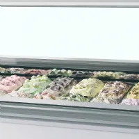 Photo 2 - Vitrine professionnelle à froid ventilée pour 20 bacs de glace avec façade bombée - millennium lx20 - tefcold - Tefcold - MILLENNIUM LX20