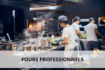 Four professionnel