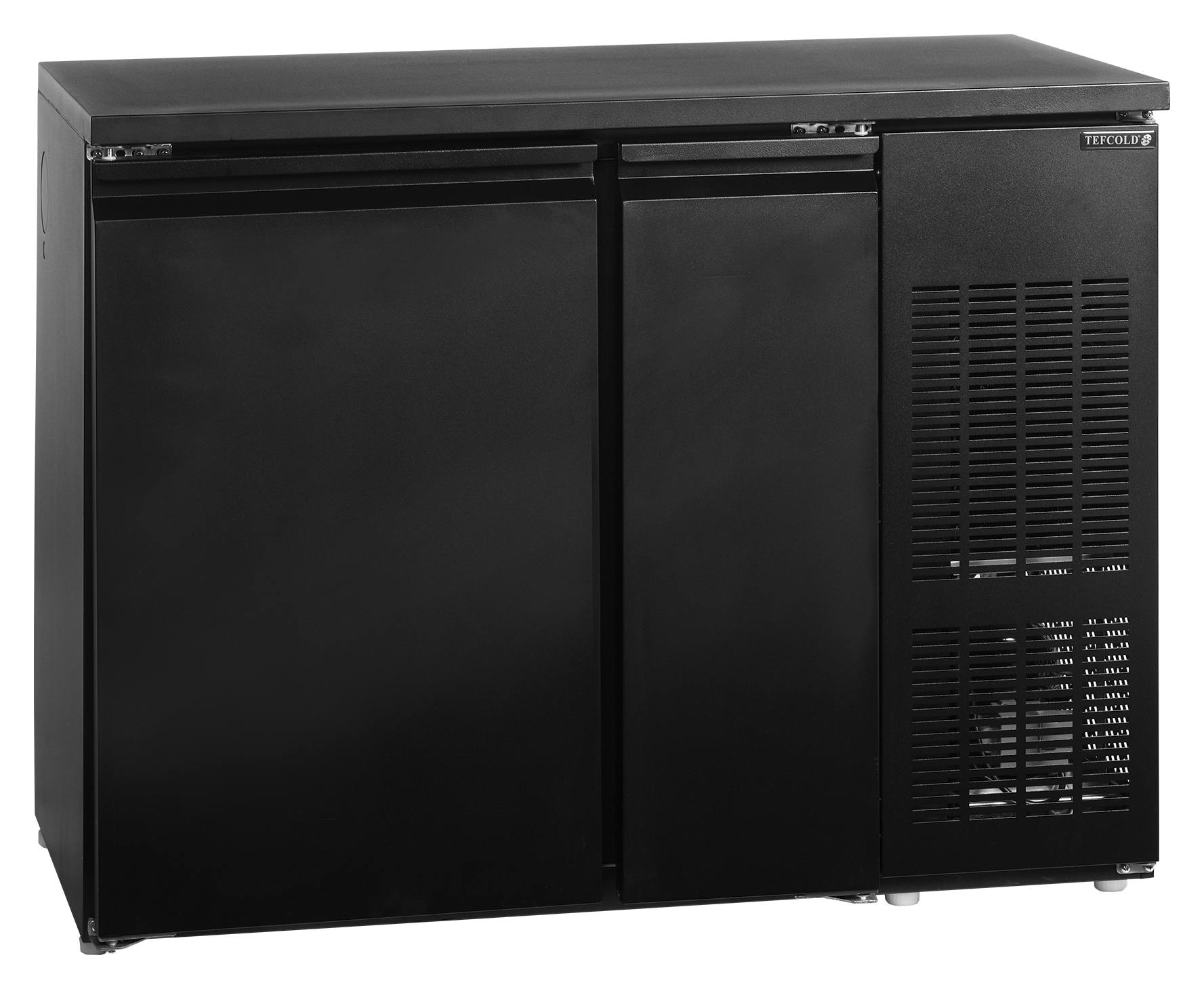 Cellier professionnelle 2 portes pleines 267 litres positive - CKC6 - Tefcold