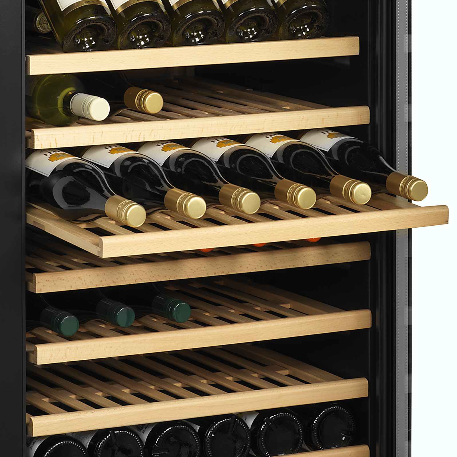 Cave à vin professionnelle noire 1 porte vitrée positive 350 L - TFW400-2F - Tefcold en cuisine professionnelle